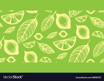 Seamless background with citrus fruit and leaves vector image
