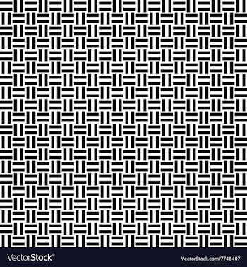 Seamless black and white line pattern vector image