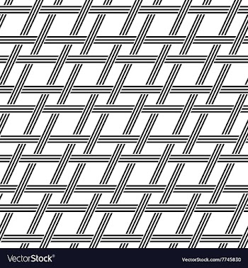 Seamless black white diagonal weave pattern vector image