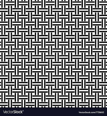 Seamless black white weave pattern vector image