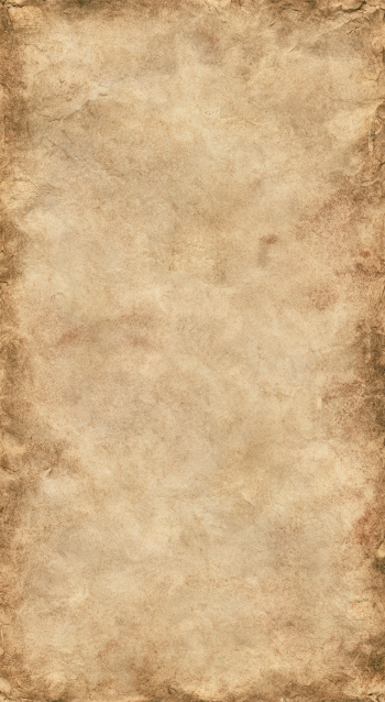 Seamless Blank Medieval Vellum Paper