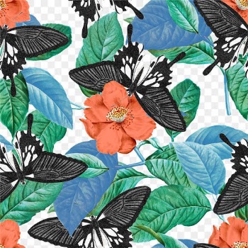 Seamless butterfly floral png pattern, vintage remix from The Naturalist's Miscellany by George Shaw
