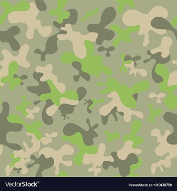 Seamless camouflage texture vector image