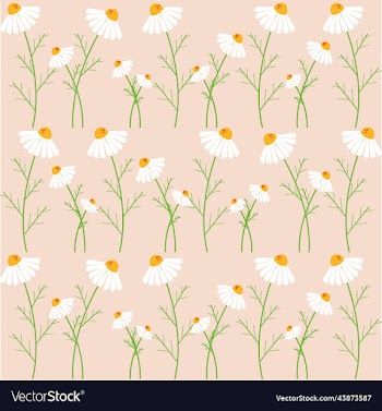 seamless daisies pattern delicate design