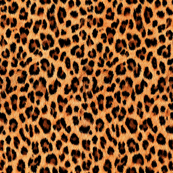 Seamless Leopard Print Fabric Pattern