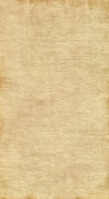 Seamless Medieval Vellum Paper Texture