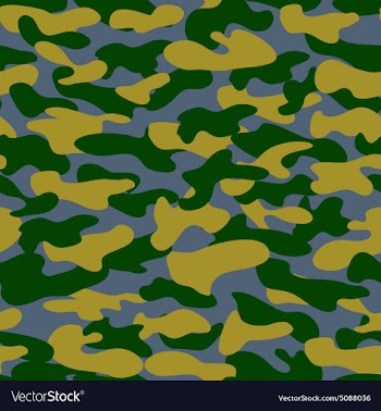 Seamless military camouflage texture Military vector image