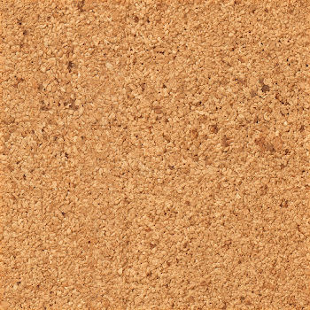 Seamless Natural Cork Board Texture