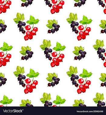 Seamless pattern clusters berries red vector image