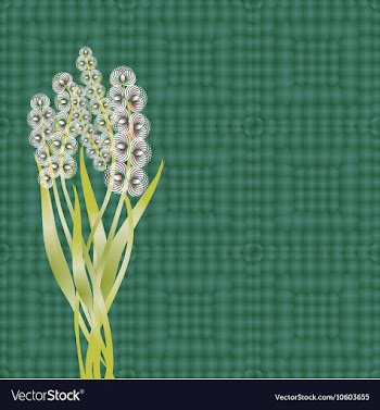 Seamless pattern floral background vector image