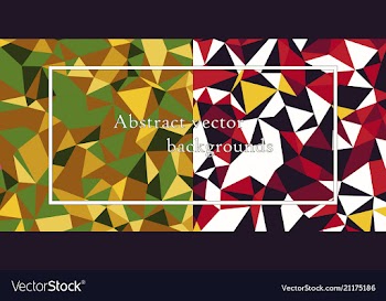 Seamless pattern modern stylish texture repeating vector image