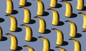 Seamless pattern of bananas on blue | Free Photo - rawpixel
