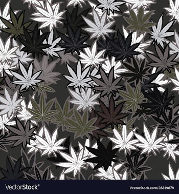 Seamless pattern vector image