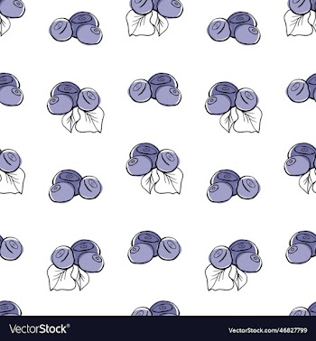 seamless pattern with blueberries doodle