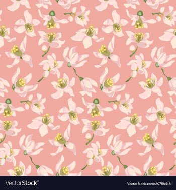 Seamless pattern with citrus tree flowers of vector image