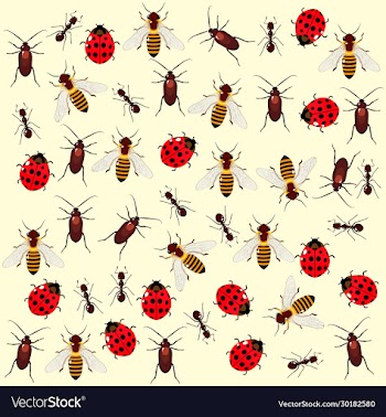 seamless pattern with colored bugs