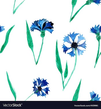 Seamless pattern with cornflowers vector image
