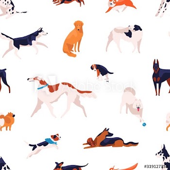 Seamless pattern with different dogs breed isolated on white background