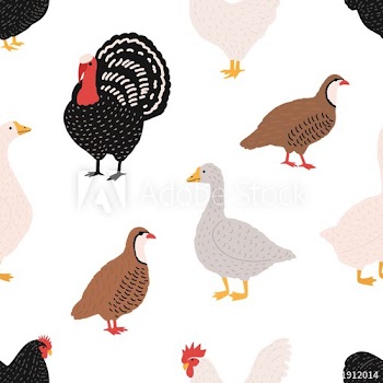 Seamless pattern with domestic birds or farm poultry on white background - rooster, chicken, goose, duck, quail, turkey
