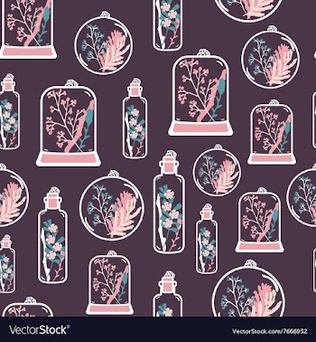 Seamless pattern with hand drawn floral terrariums vector image