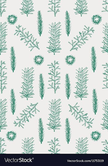 Seamless pattern with hand drawn pine fir branches vector image