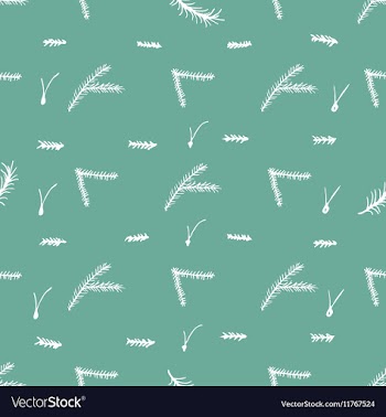 Seamless pattern with hand drawn pine fir branches vector image