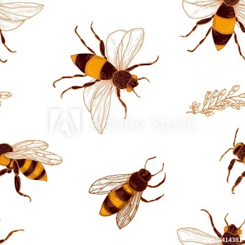 Seamless pattern with honey bees and acacia plant branches on white background