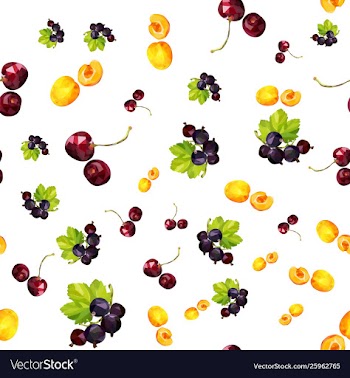 Seamless pattern with summer berries apricot vector image