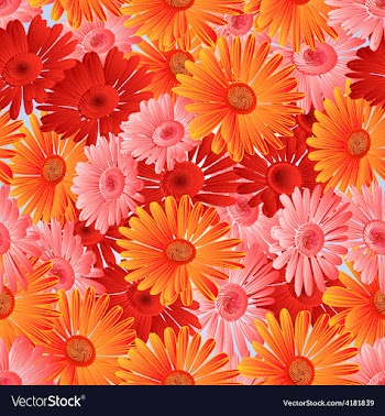 Seamless texture Gerbera in festive vector image