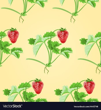 Seamless texture of strawberries with leaves vector image