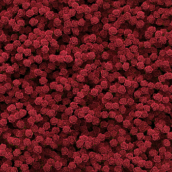Seamless Texture of Tiny Red Roses