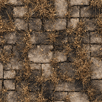 Seamless Texture of Withered Grass on Stone Paved Floor