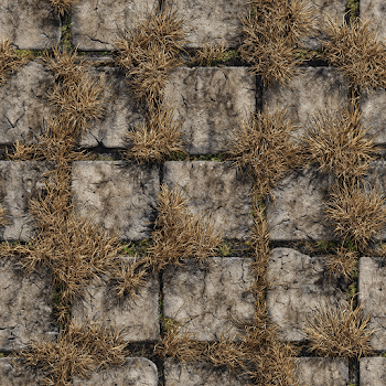 Seamless Texture of Withered Grass on Stone Paved Floor