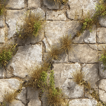 Seamless Texture of Withered Grass Through Stone Pavement
