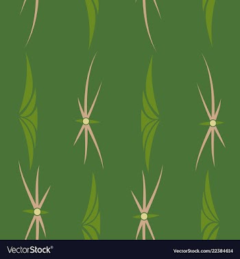 Seamless texture with floral background vintage vector image