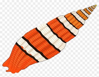 Seashell 01 Medium 600pixel Clipart, Vector Clip Art - Clip Art Seashell