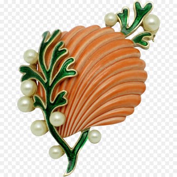 Seashell, Brooch, Drawing, Leaf, Plant PNG