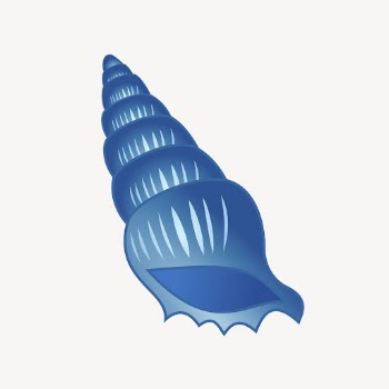 Seashell collage element, marine life | Free PSD - rawpixel