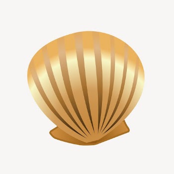 Seashell collage element, marine life | Free PSD - rawpixel