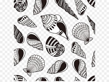 Seashell - conch 