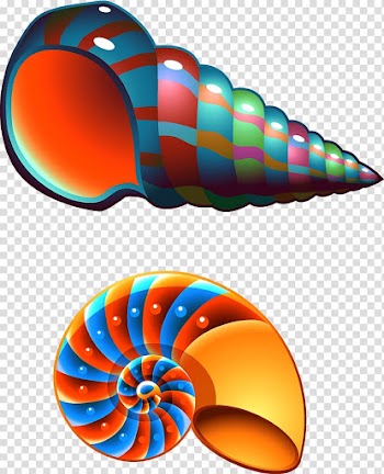 Seashell Conch Mollusc shell , Colorful conch transparent background PNG clipart