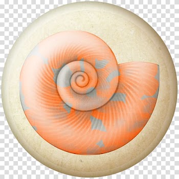 Seashell Drawing Watercolor painting Snail , Watercolor snail transparent background PNG clipart