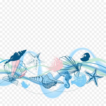 Seashell Icon - conch 