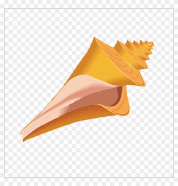 Seashell Mollusc Shell Clip Art - Shell Clipart Png Transparent