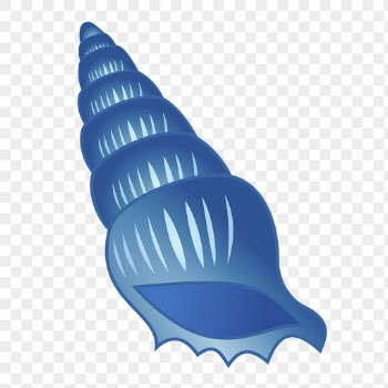 Seashell png sticker, marine life | Free PNG - rawpixel