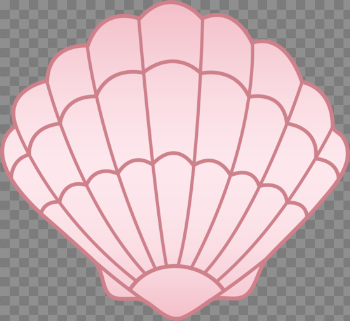 Seashell Transparent