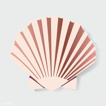 Seashell Vectot Illstration Graphic Design | Free stock vector - 390722