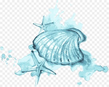 Seashell Watercolor painting Illustration - Blue watercolor shells and starfish 