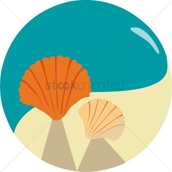 Seashells