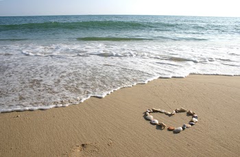Seashells in the shape of a heart.